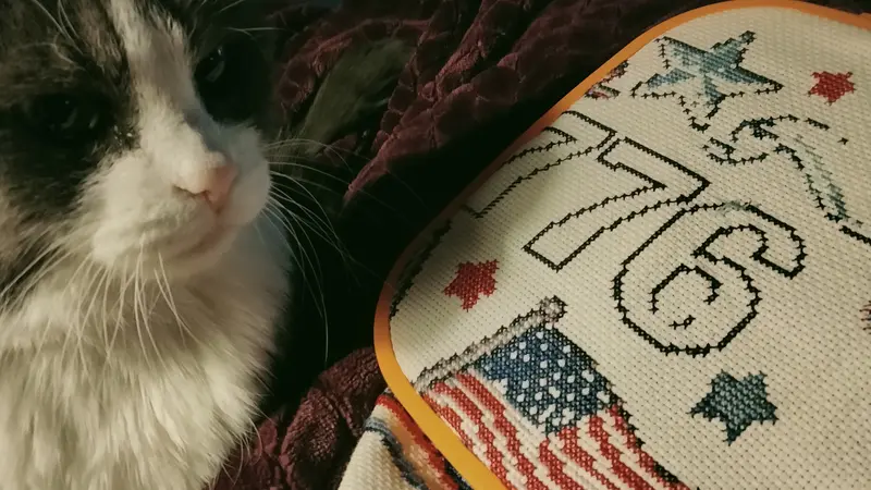Cat sitting on a blanket