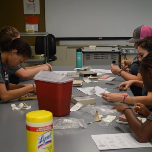 Discovery Day