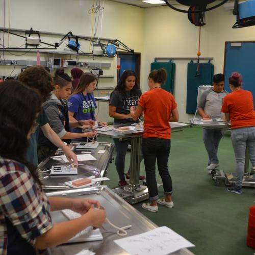 Discovery Day