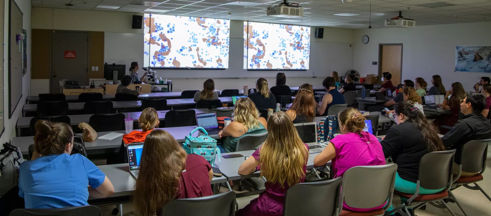Students and faculty discussions in auditorium 