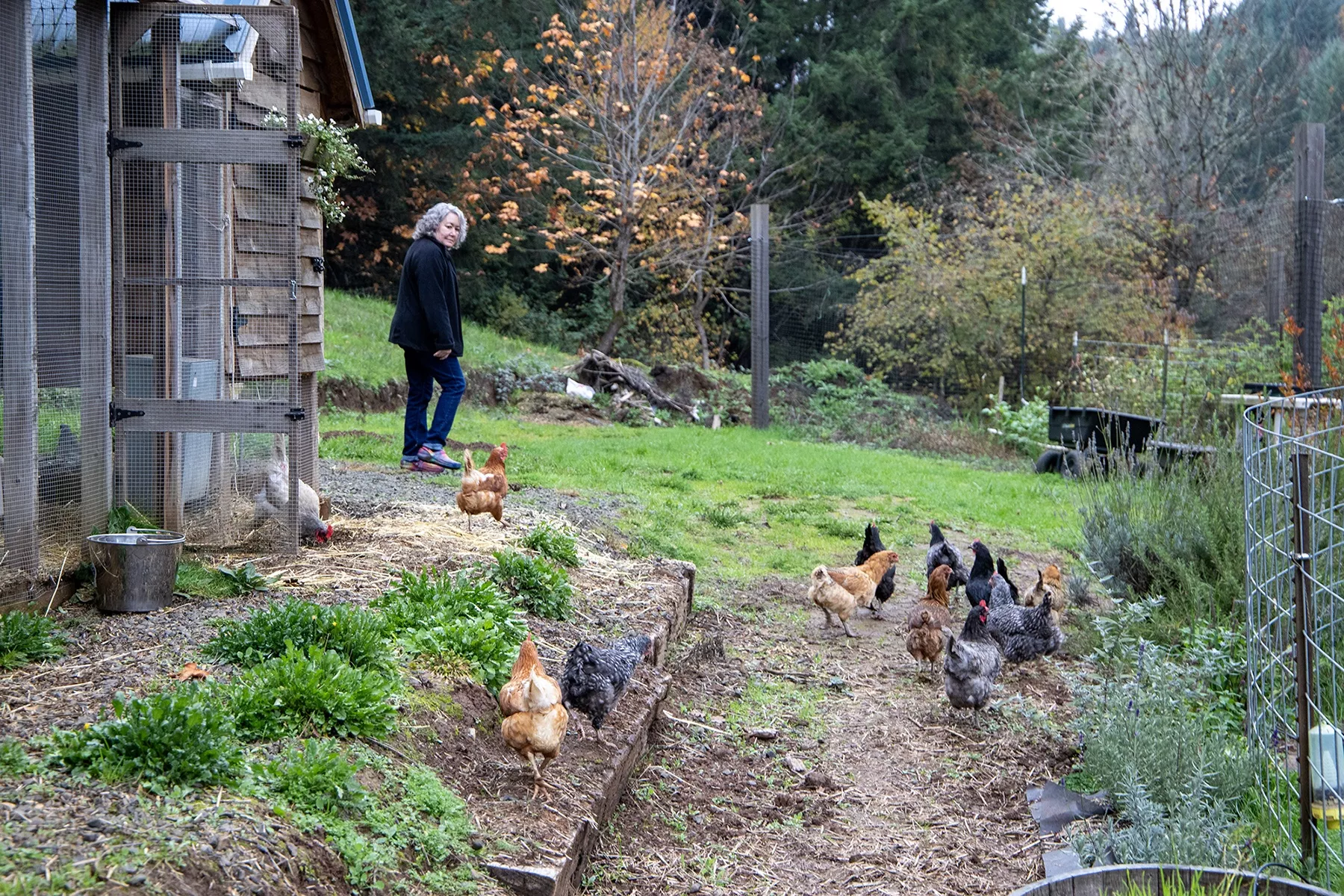 Donna Mulrooney with chickens