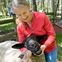hall feeding a goat