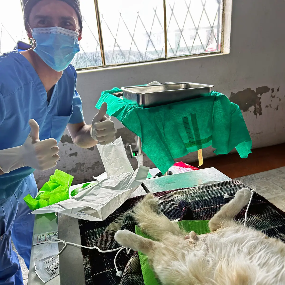 Veterinary student gives a thumbs up while dog is on surgical table.