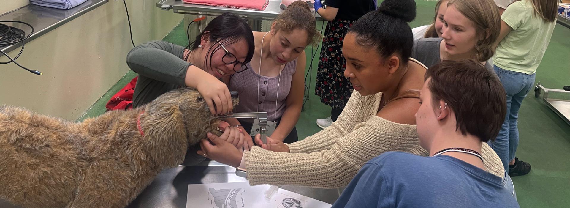 High students learning clinical skills 