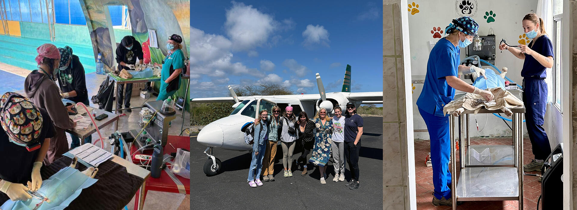 Collage of images showing veterinary care and a group photo with an airplane.