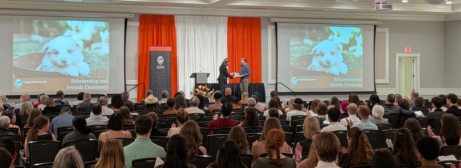 Person receives award from another person on stage. 