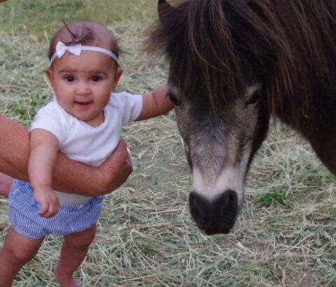 Baby next to small horse in a field