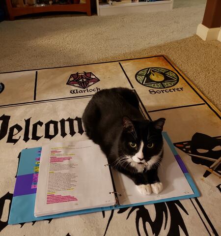 Black and white cat laying on top of a binder on the carpet