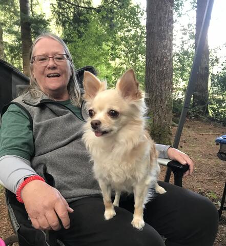 Small blonde dog sitting on the lap of their owner outside