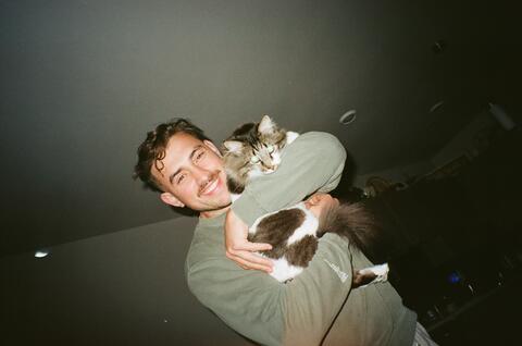 Brown and white cat being held in the arms of a person