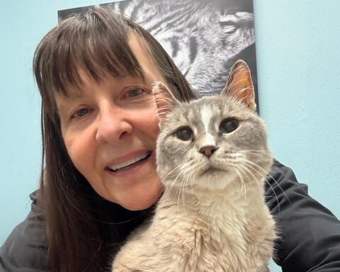 Gray cat with a smiling woman