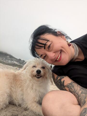 White dog laying down in the sand and looking at the camera next to their owner