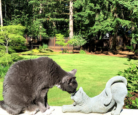 Dark cat and a cat statue