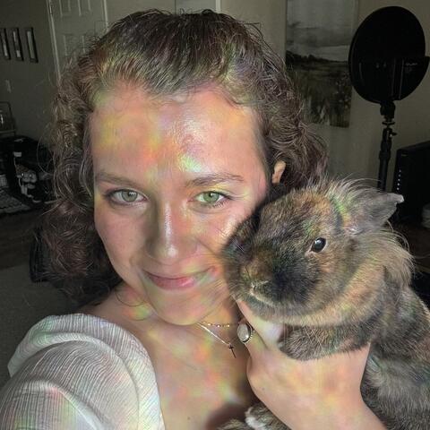 Brown bunny being held