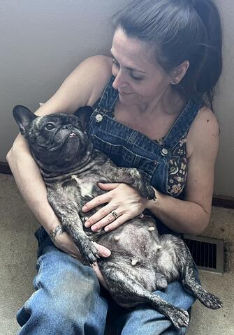 Dog in a person's lap