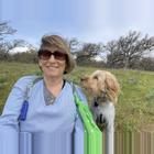 Dog with woman