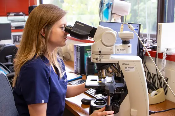 Dr Gruenwald examines a microscopic slide