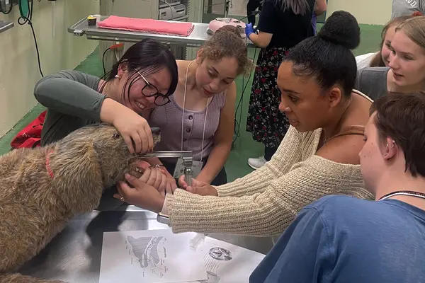 High students learning clinical skills 