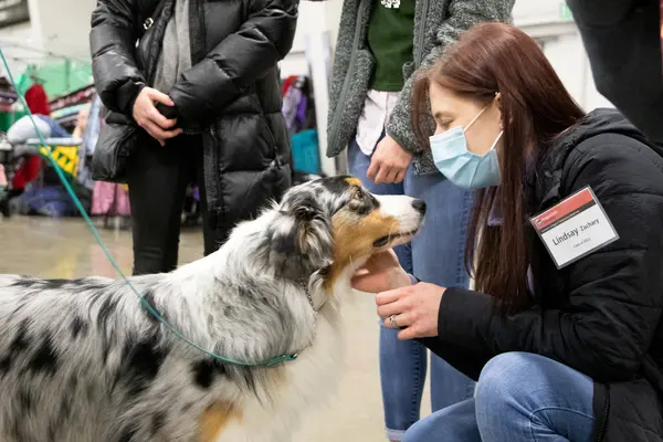 Student and Australian Sheperd at dog show