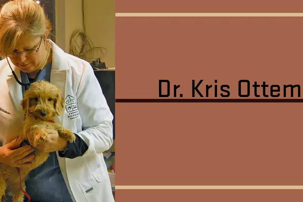 Dr Otteman listening to a pup's heartbeat