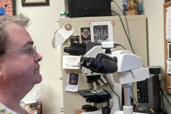 Dr. Sean Spagnoli