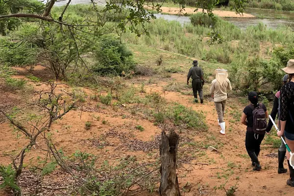 People walking to the river in Kruger National Park in South Africa