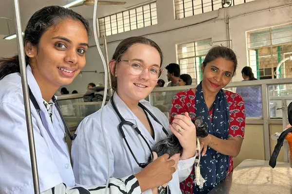 Three people with a kitten