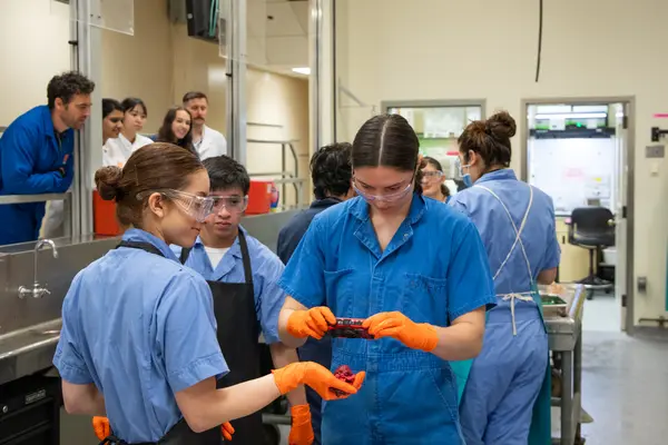 Anatomic Pathology Resident Dr. Maria Quinones holds the heart from a pig while Makenna Bailey, necropsy medical technician, takes photographic documentation
