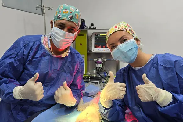 Veterinarian and vet student give thumbs up after a surgery.
