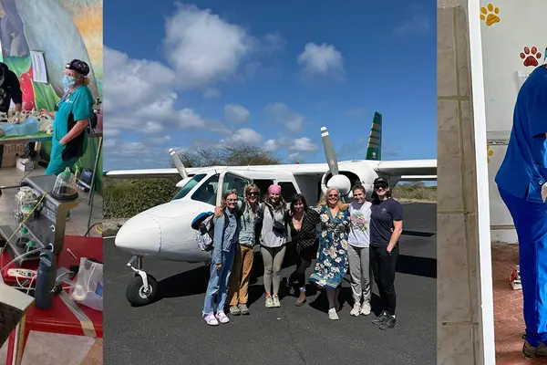 Collage of images showing veterinary care and a group photo with an airplane.