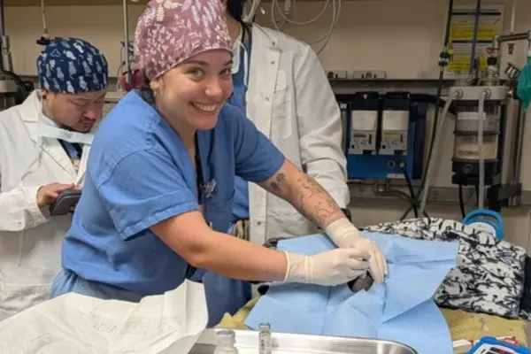 Veterinary student prepares a patient for surgery.