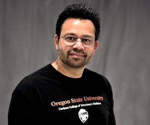 portrait of man with gray background.