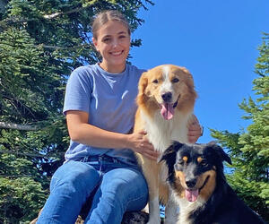 Woman sits on rock in forest next to two dogs. 
