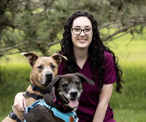 Woman outside with two dogs. 