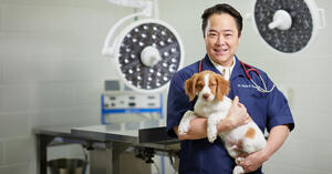 ヒロ・ヤマガタ VETERINARIAN HIROYAMAGATA ヒロ・ヤマガタ VETERINARIAN HIROYAMAGATA ヒロ・ヤマガタ